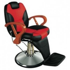 Rickson All Purpose Salon Chair